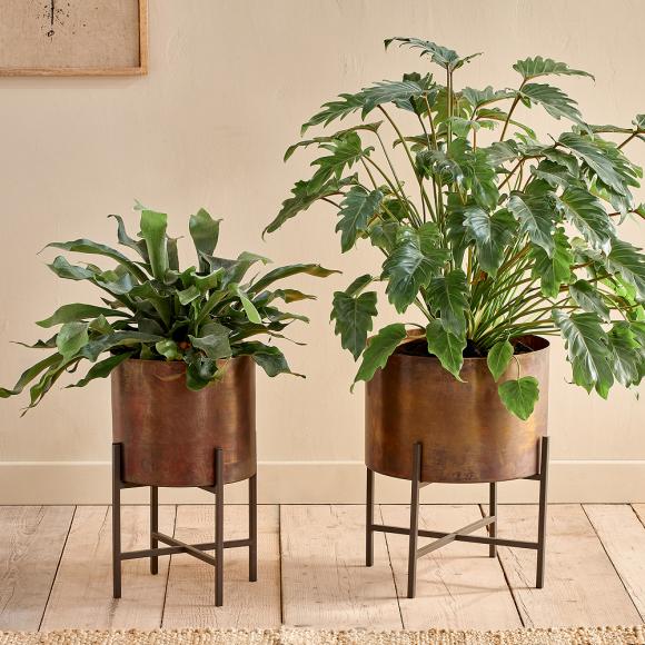 Nkuku Juoni Iron Planter